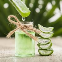 aloe-i-chaynoe-derevo