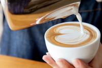 kapuchino4