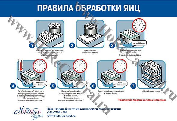 Правила обработки яиц_web.jpg